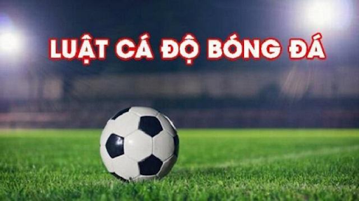 Tổng hợp luật cá độ bóng đá cơ bản nhất dành cho bet thủ