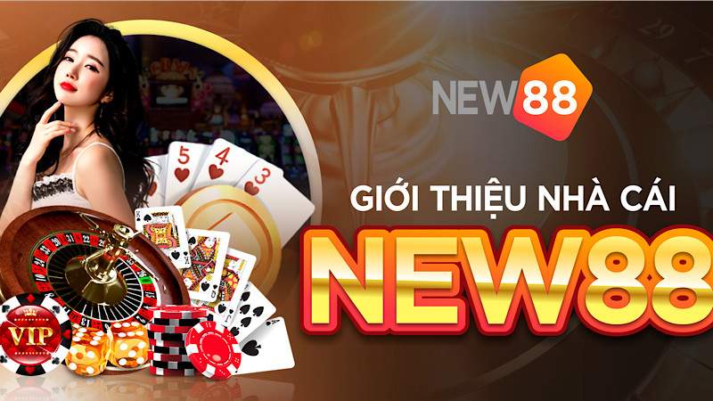 Những Điều Kiện Và Điều Khoản NEW88 Bet Thủ Cần Phải Biết